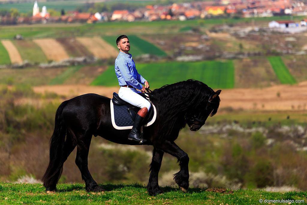 Domeniul Salgo Orlat Bagian luar foto